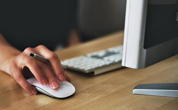 using-software-on-computer